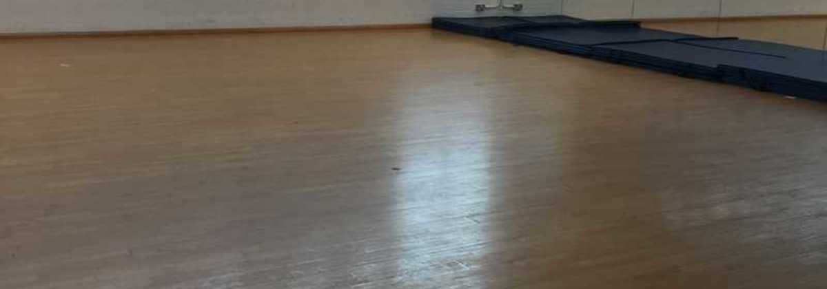 harris academy dance studio