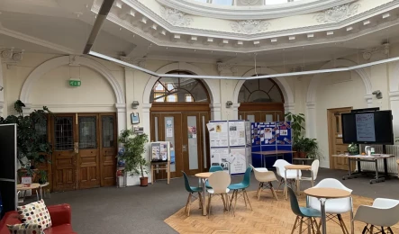 Under The Dome - Corbett Community Library