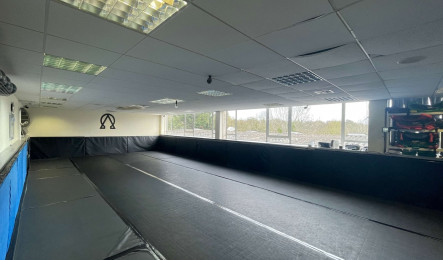 BJJ Room - The Resistance